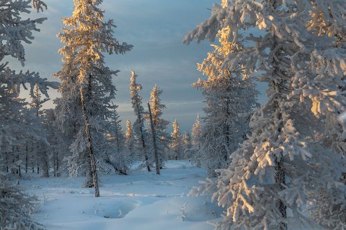 Один ноябрьский закат!