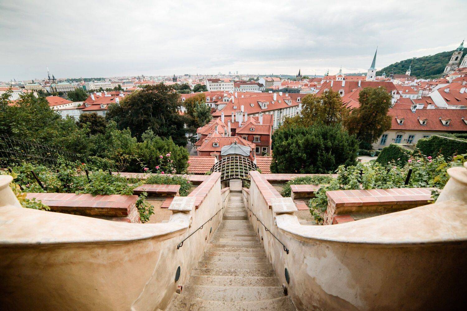 , Богдан Бобак