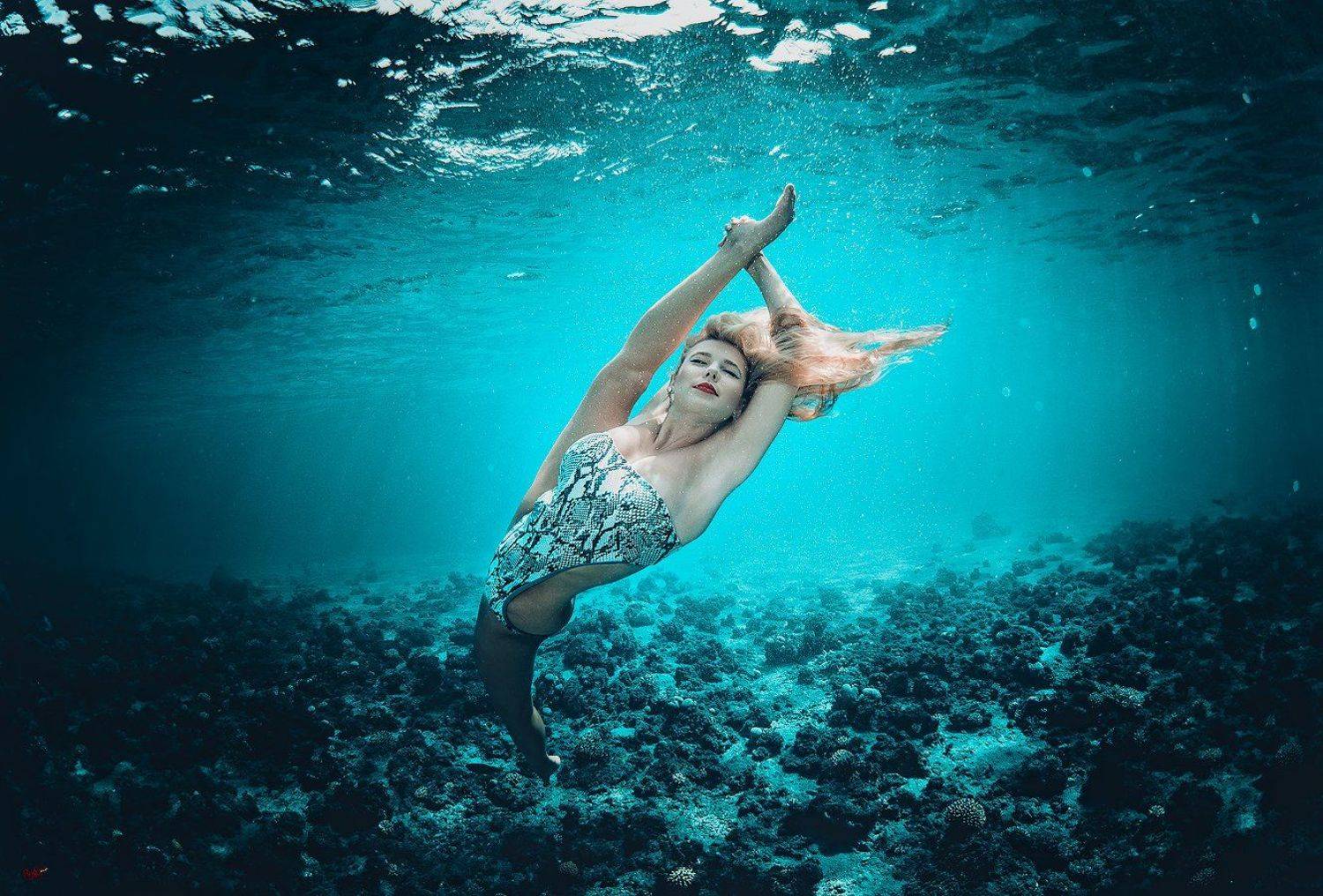 , Баженов Денис