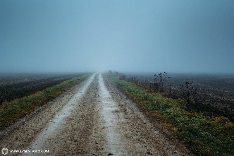 пейзаж,туман,дорога,поле,природа,осень Дорога в некуда фото превью