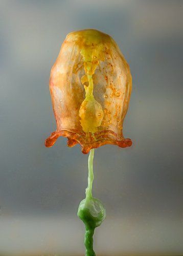 liquid brain
