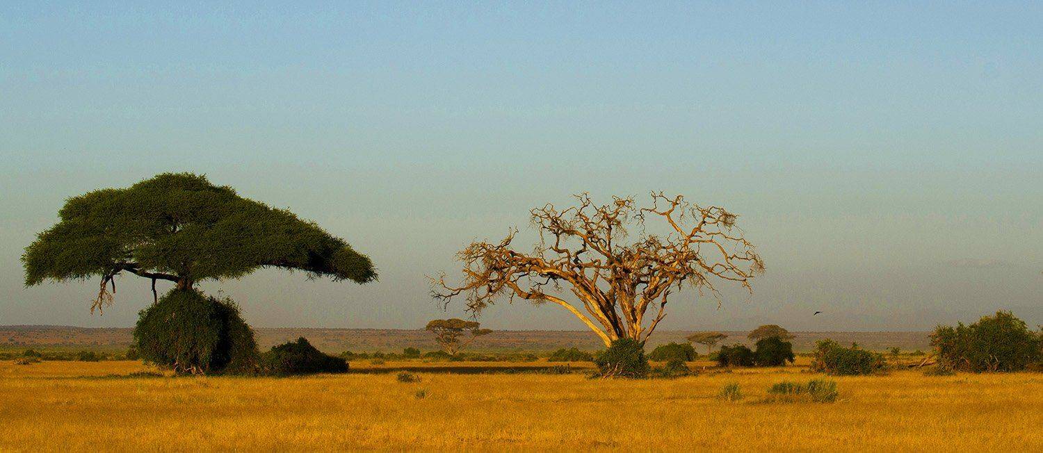 , Марина Мудрова