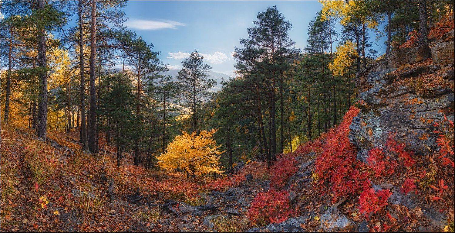 , Минаев Павел