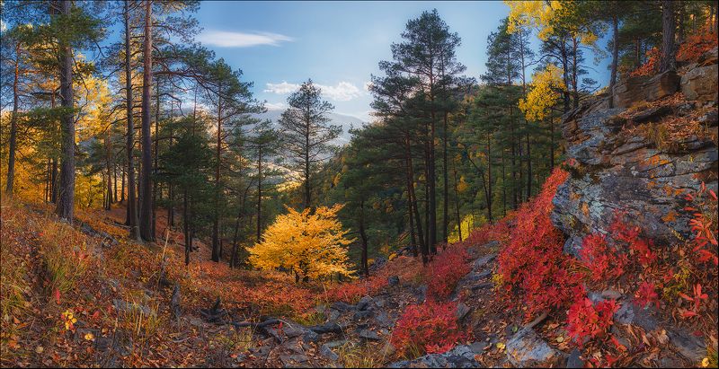 Краски осеннего Архыза фото превью