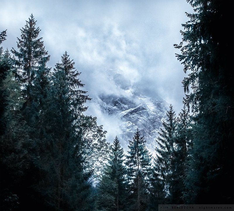 bavaria, clouds, fog, forest, germany, mist, mountains, snow, vertex, zugspitze, бавария, вершина, германия, горы, лес, облака, снег, туман, цугшпитце . фото превью