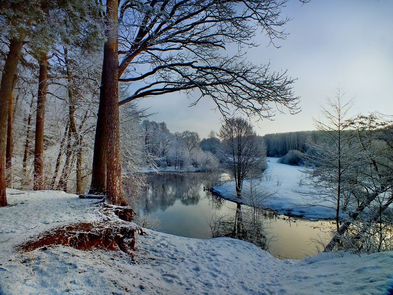 In winter фото превью