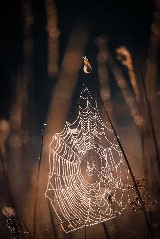 , Вячеслав Мищенко