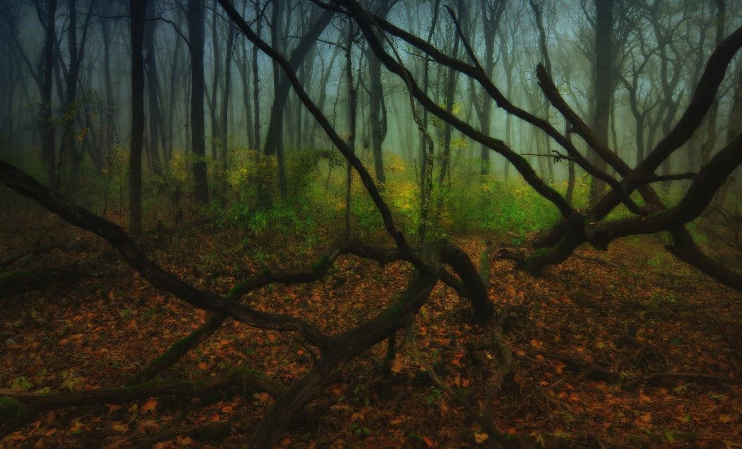 , Михаил  Пилипенко