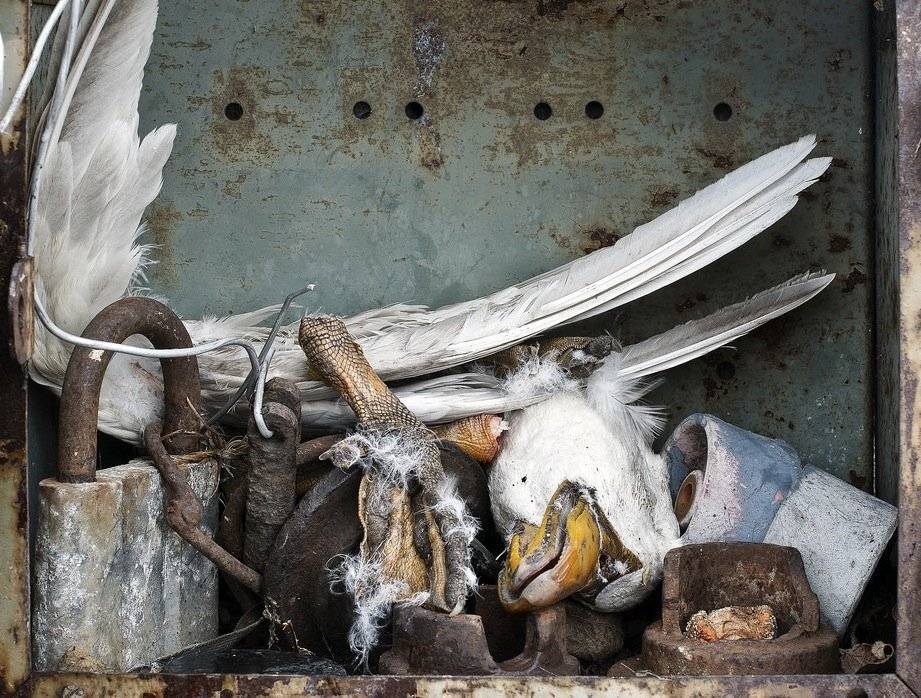 still, life, Air Walk