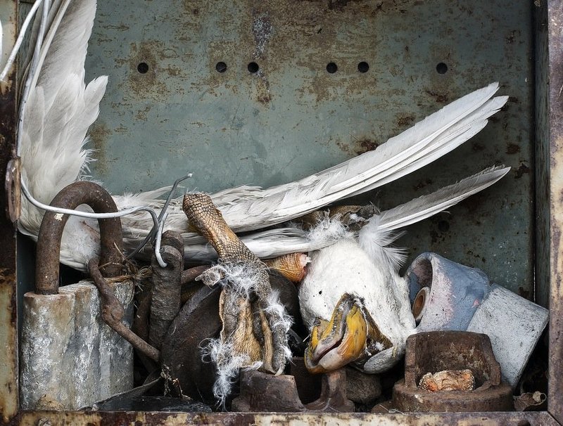 still, life Положение вещей фото превью