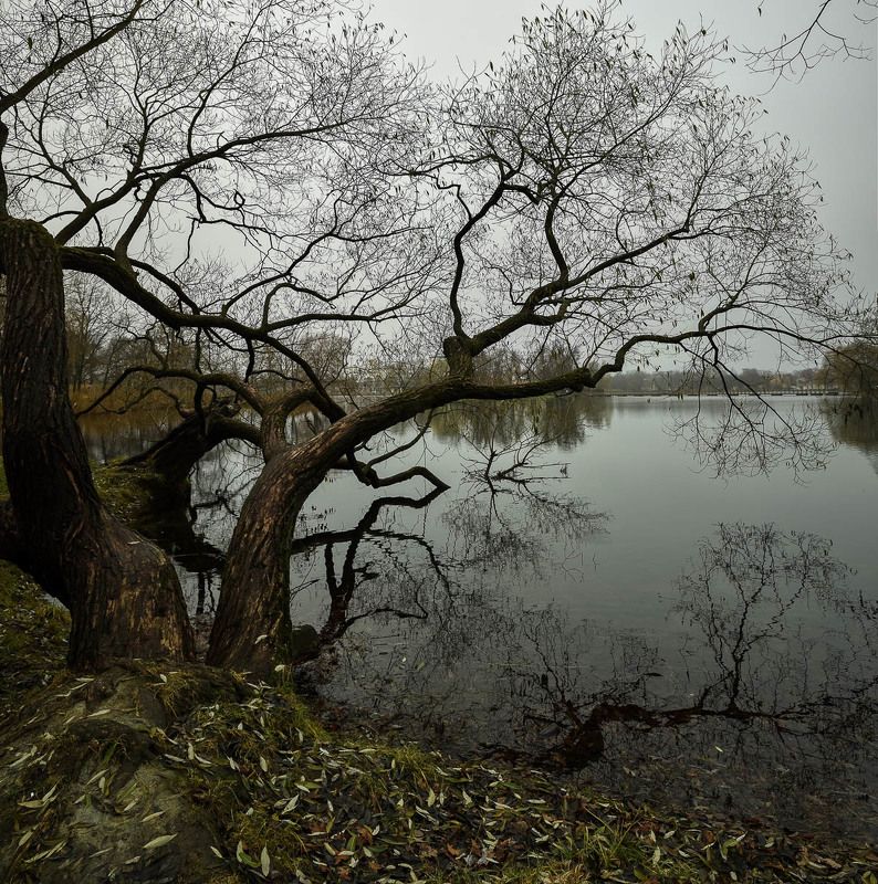 Осеннее настроение фото превью