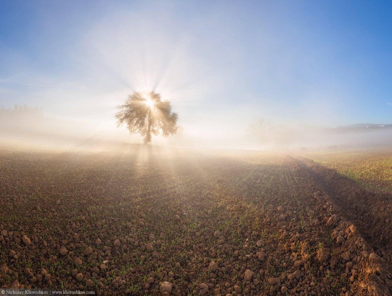 Италия, Пейзаж, Природа, Рассвет, Тоскана, Николай Хорошков