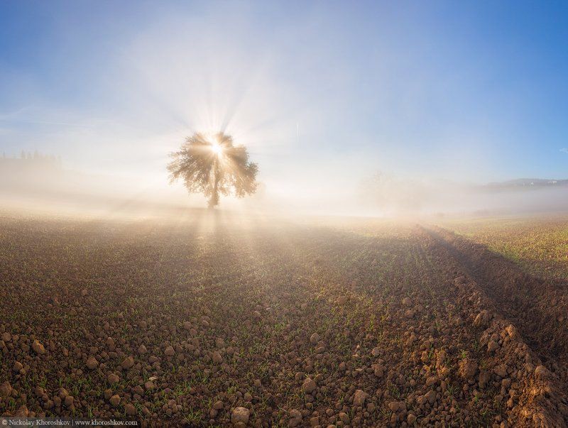 Италия, Пейзаж, Природа, Рассвет, Тоскана Утренний свет фото превью