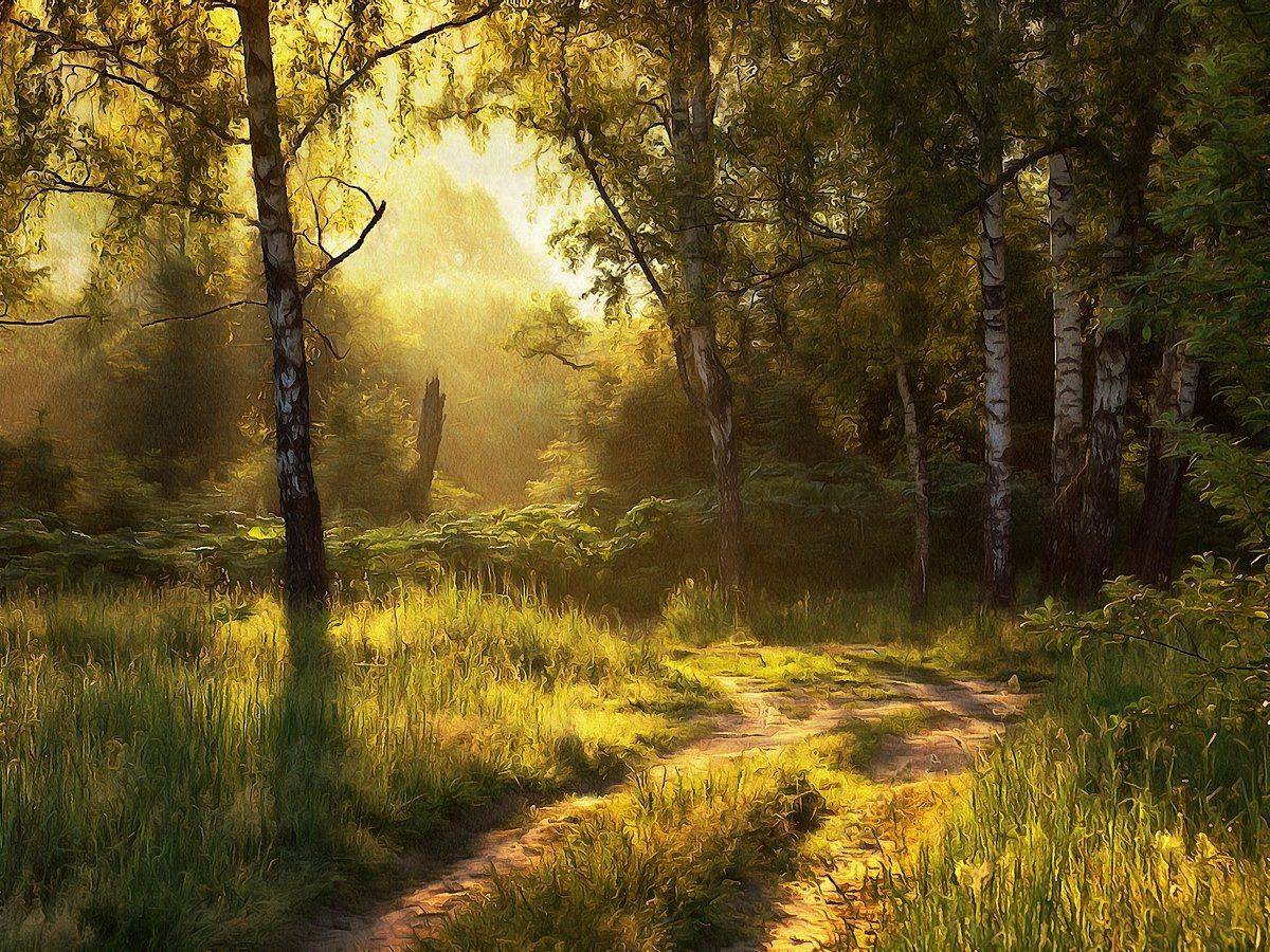 , Марина Брыдня