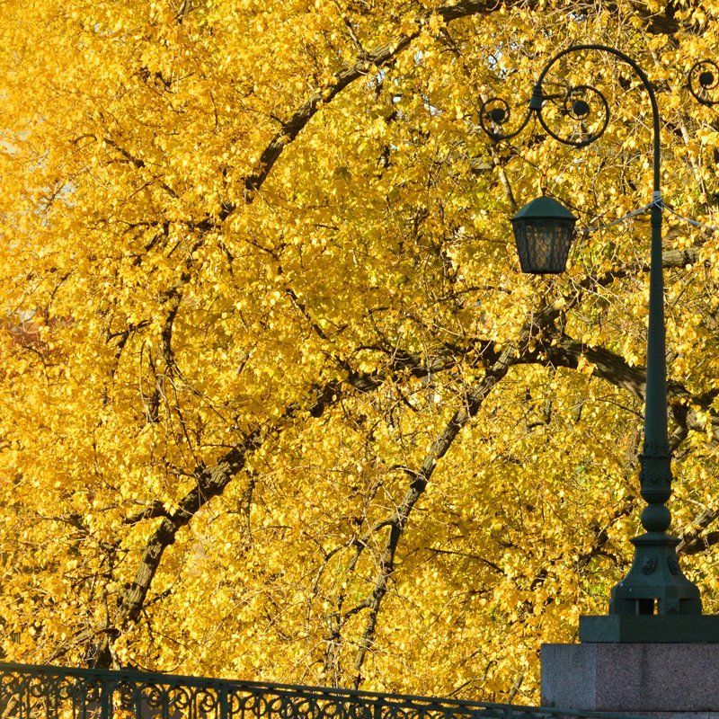 Осенний фонарь фото превью