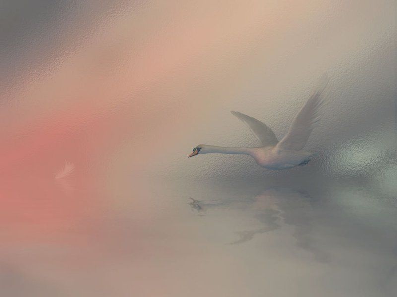 коллаж Немного романтики... фото превью