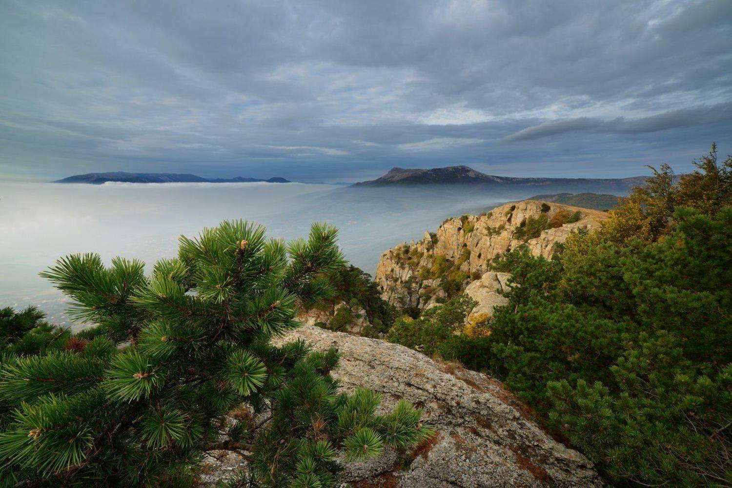 , Максим Евдокимов