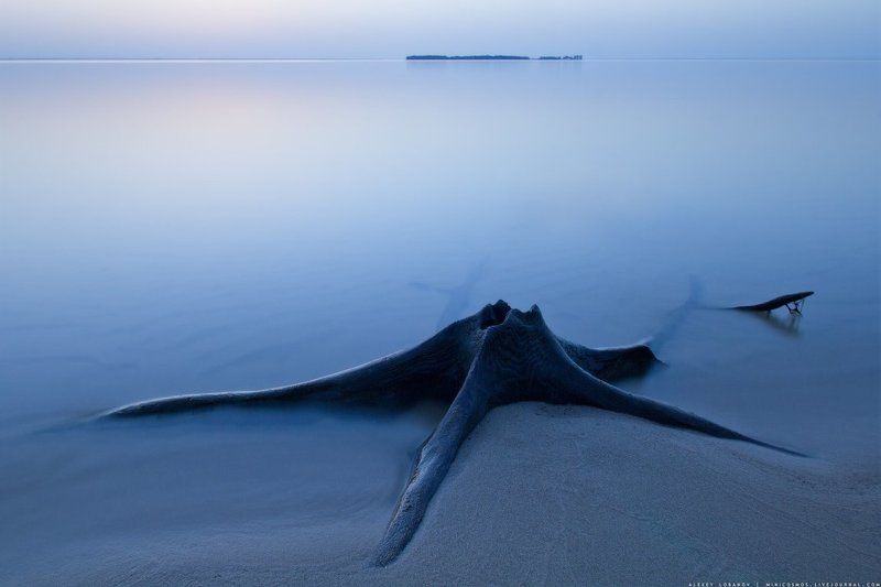 Звезда фото превью