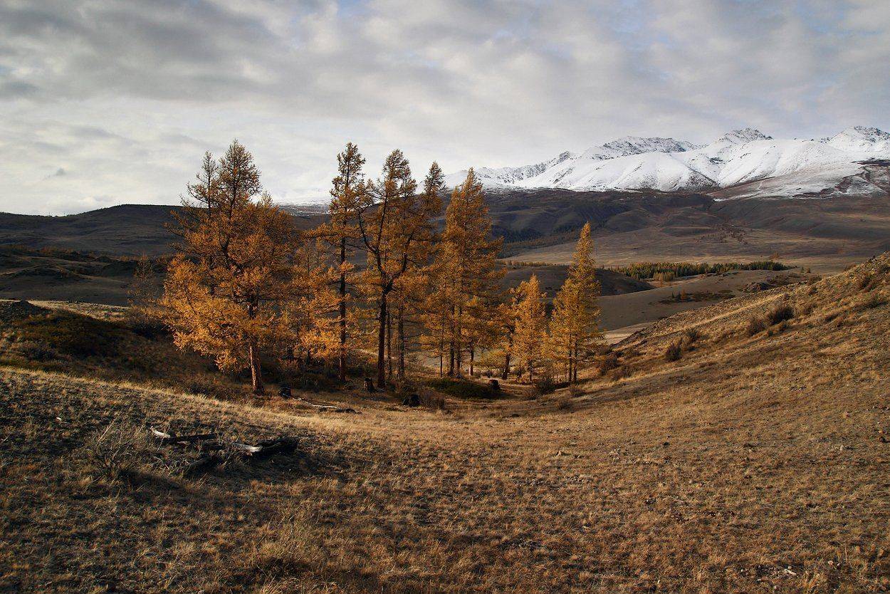 , Дмитрий Д.