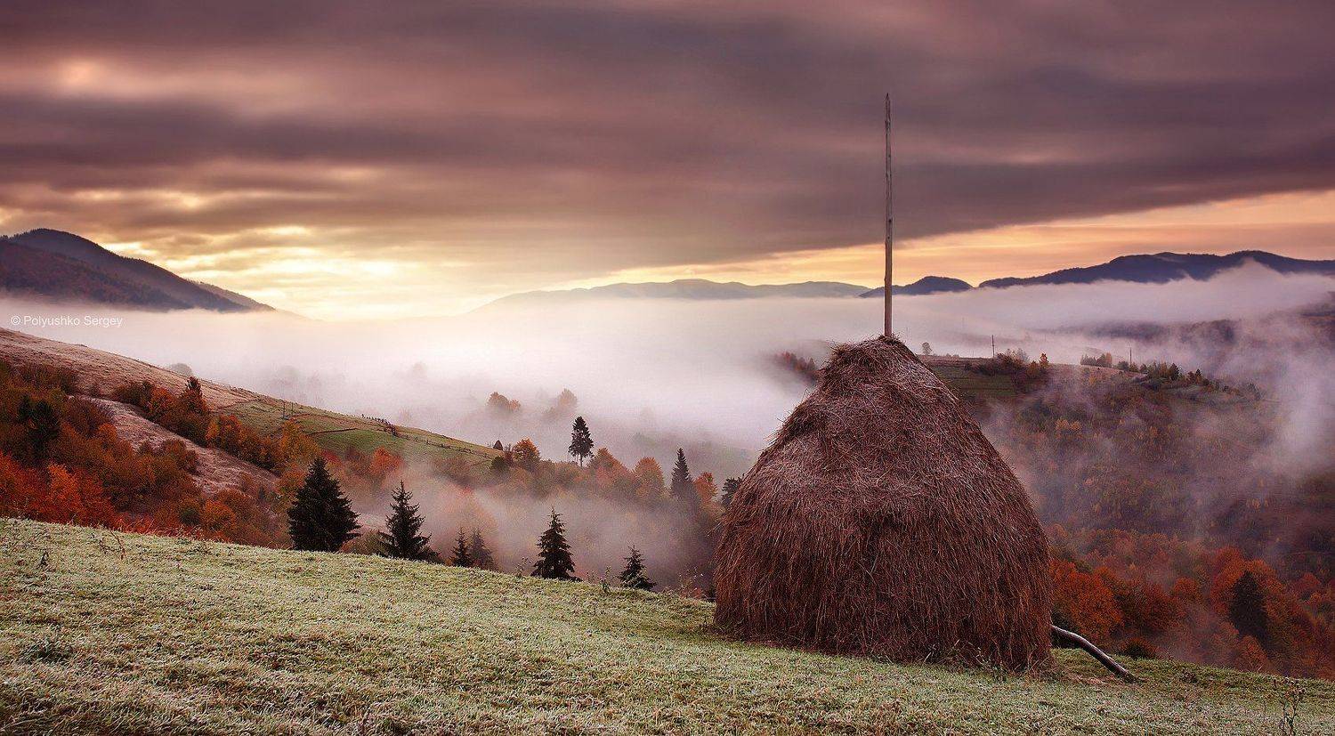 Карпаты, Рассвет, Стог, Туман, Украина, Полюшко Сергей