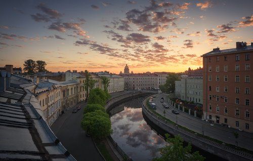 округ Львиного