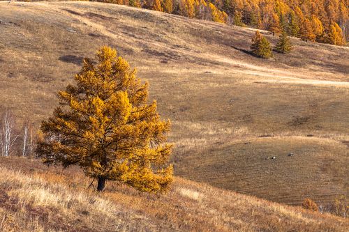Осень на Алтае