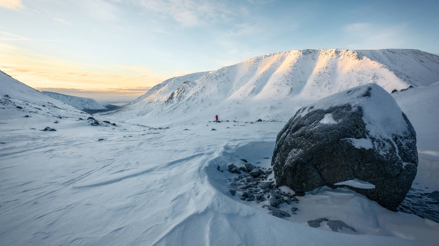 , Ян Сурогин