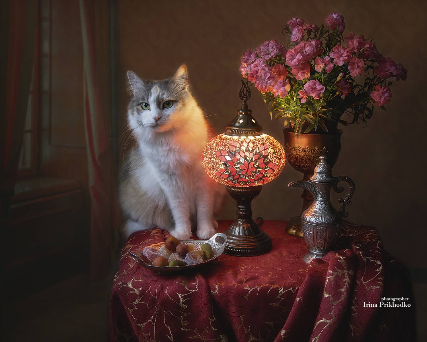 натюрморт, котонатюрморт, кошки, домашние животные, интерьер, вечер, Приходько Ирина