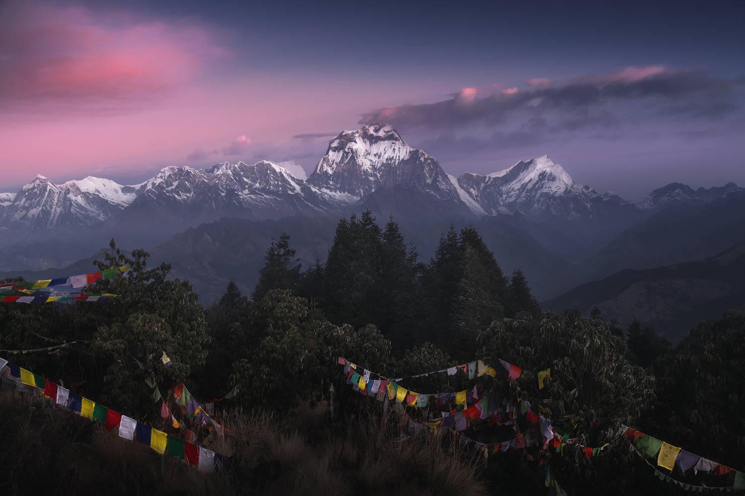 , Политова Анна