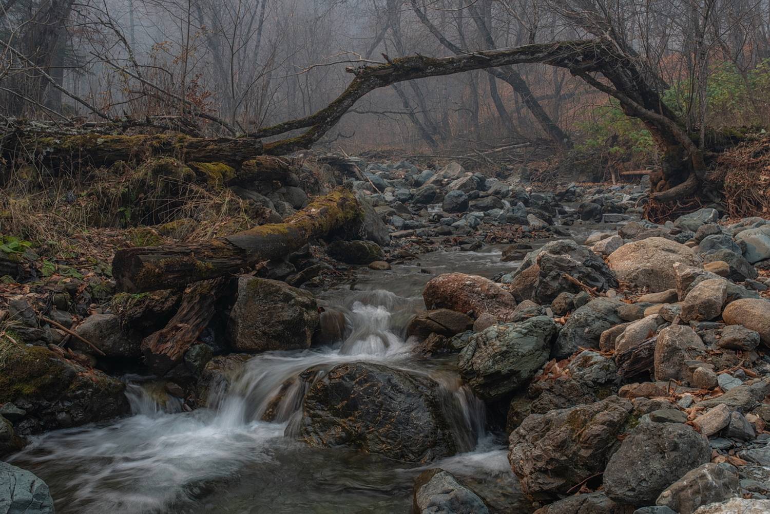 ручей, река, лес, камни, дерево, туман, дымка, ствол, архыз, горы, карачаево-черкесия, Арсен Алабердов