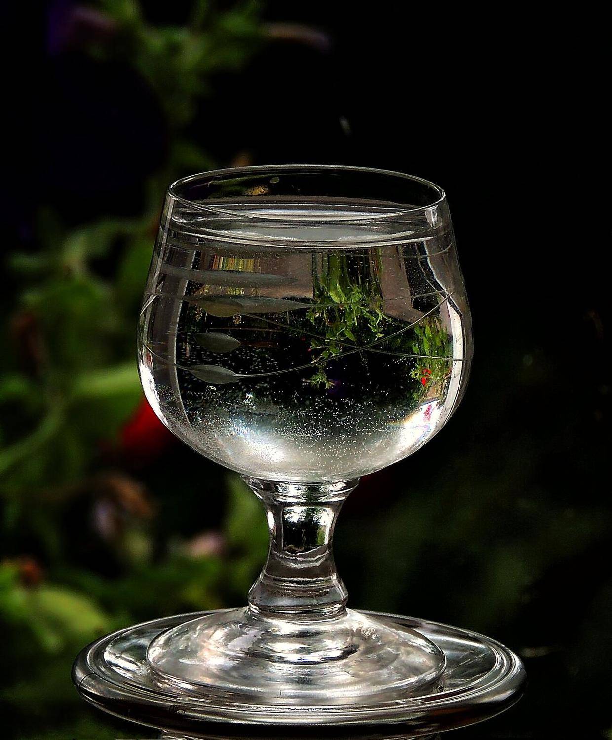 , Савоцкий Роман