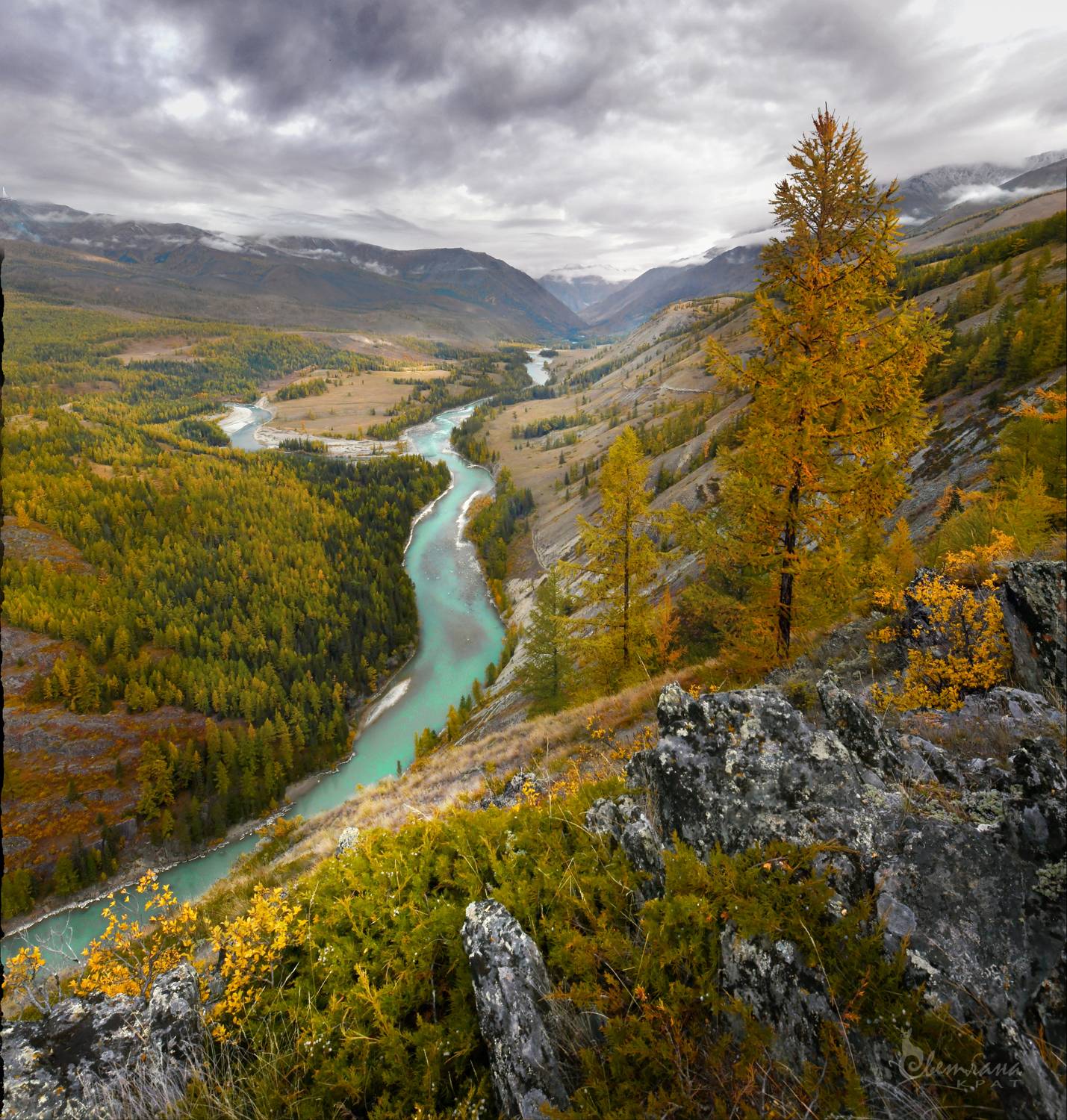 , Светлана Крат