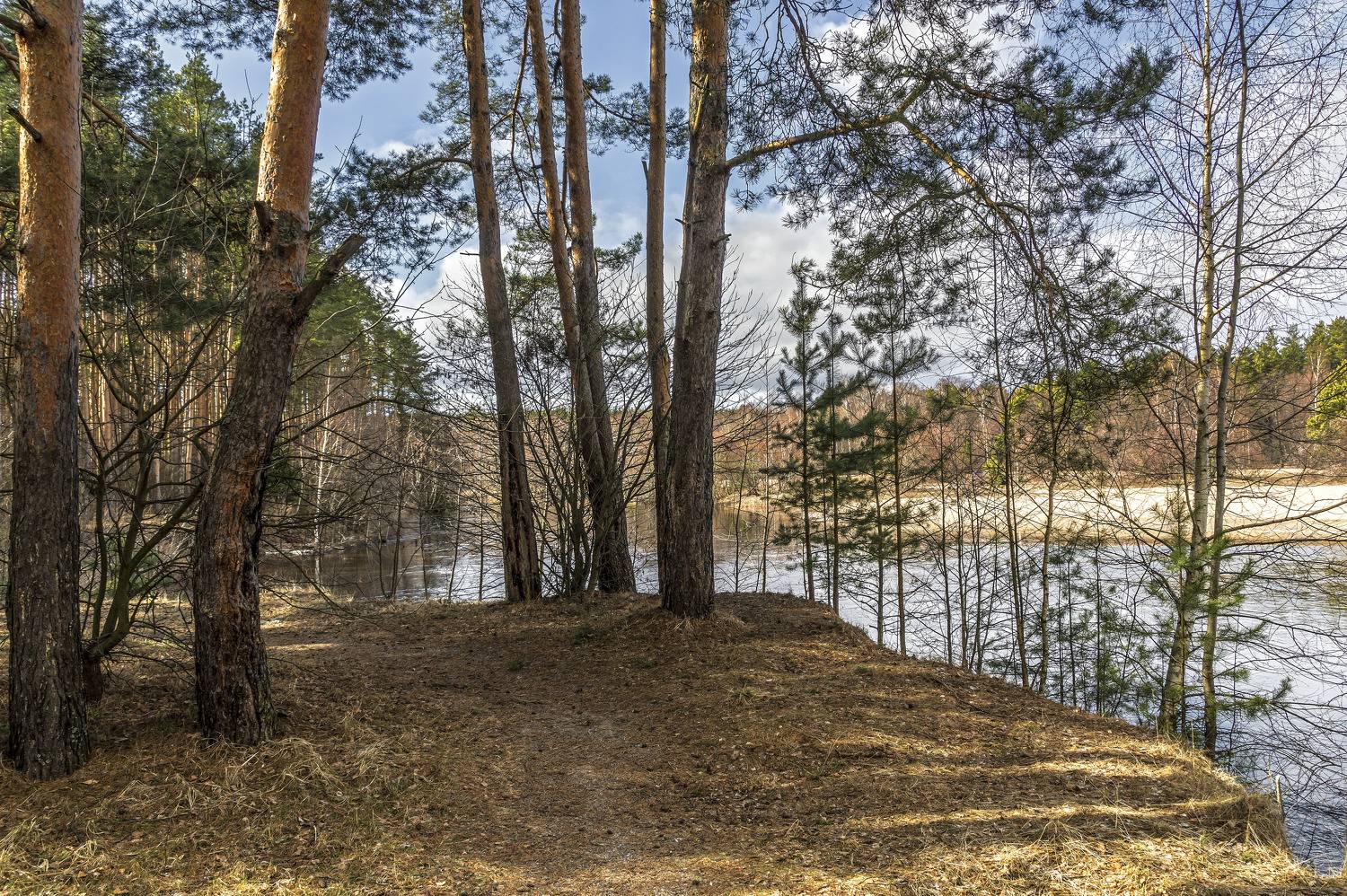 , Шитов Александр