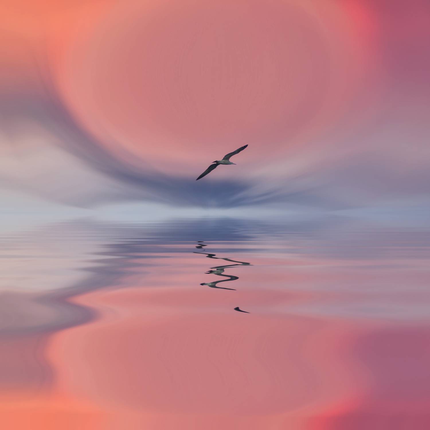 , Мариана Добрева