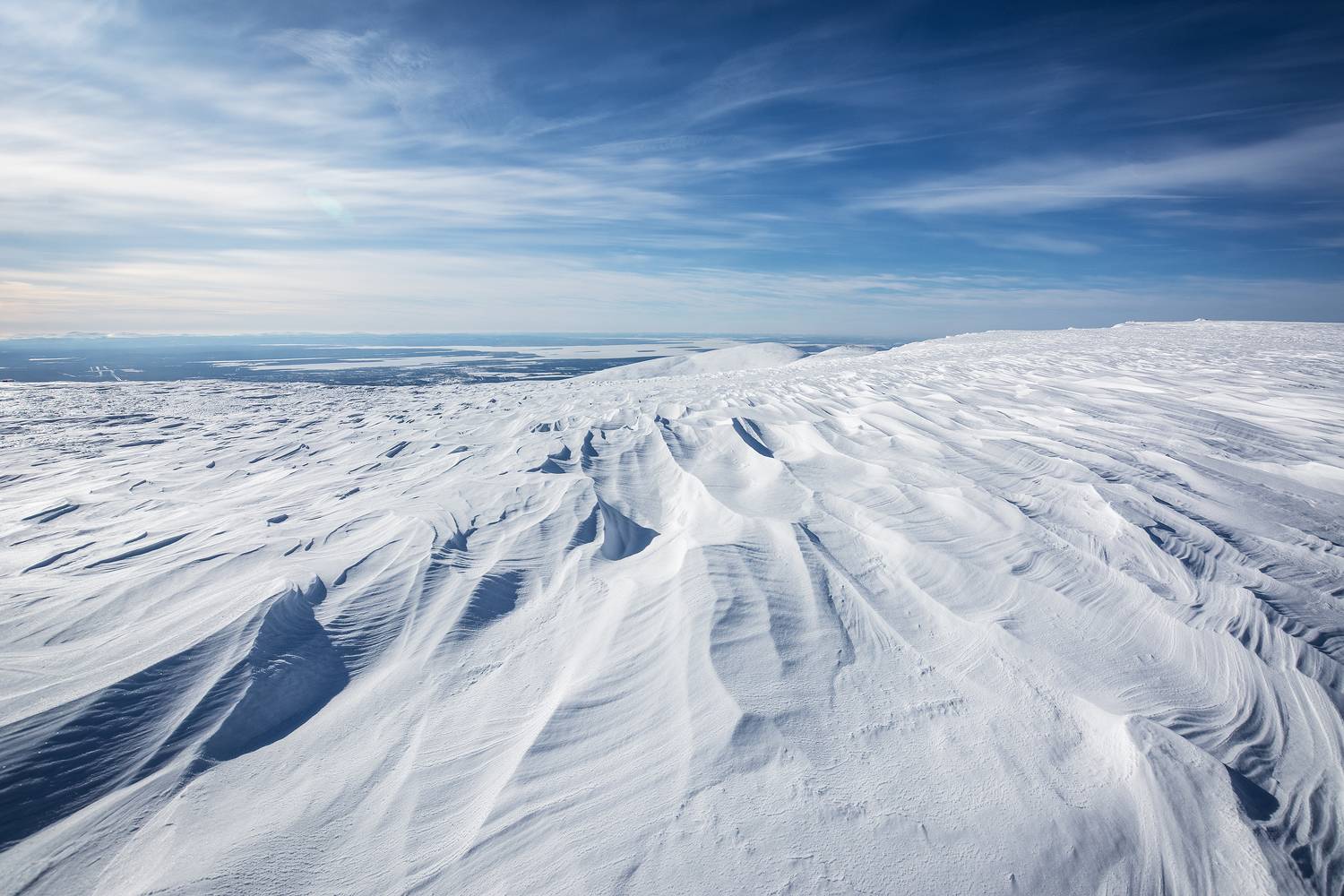 , Ян Сурогин