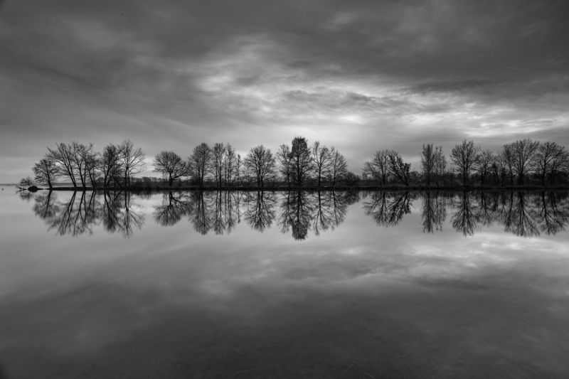 Similar photos  View All   Featured in these galleries  LANDSCAPE - black and white 24      Damian Cyfka         Clouds, trees and water фото превью
