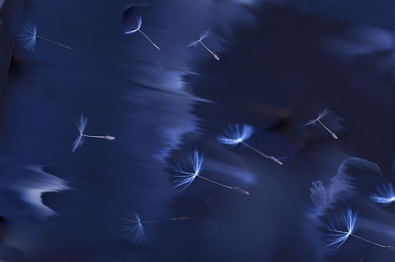 Полет фото превью