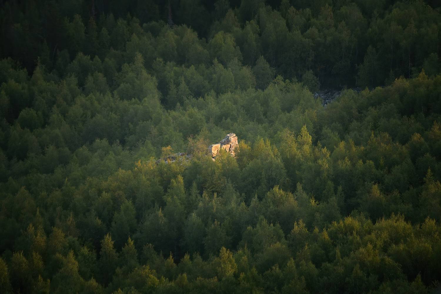 , Дмитрий Жучков