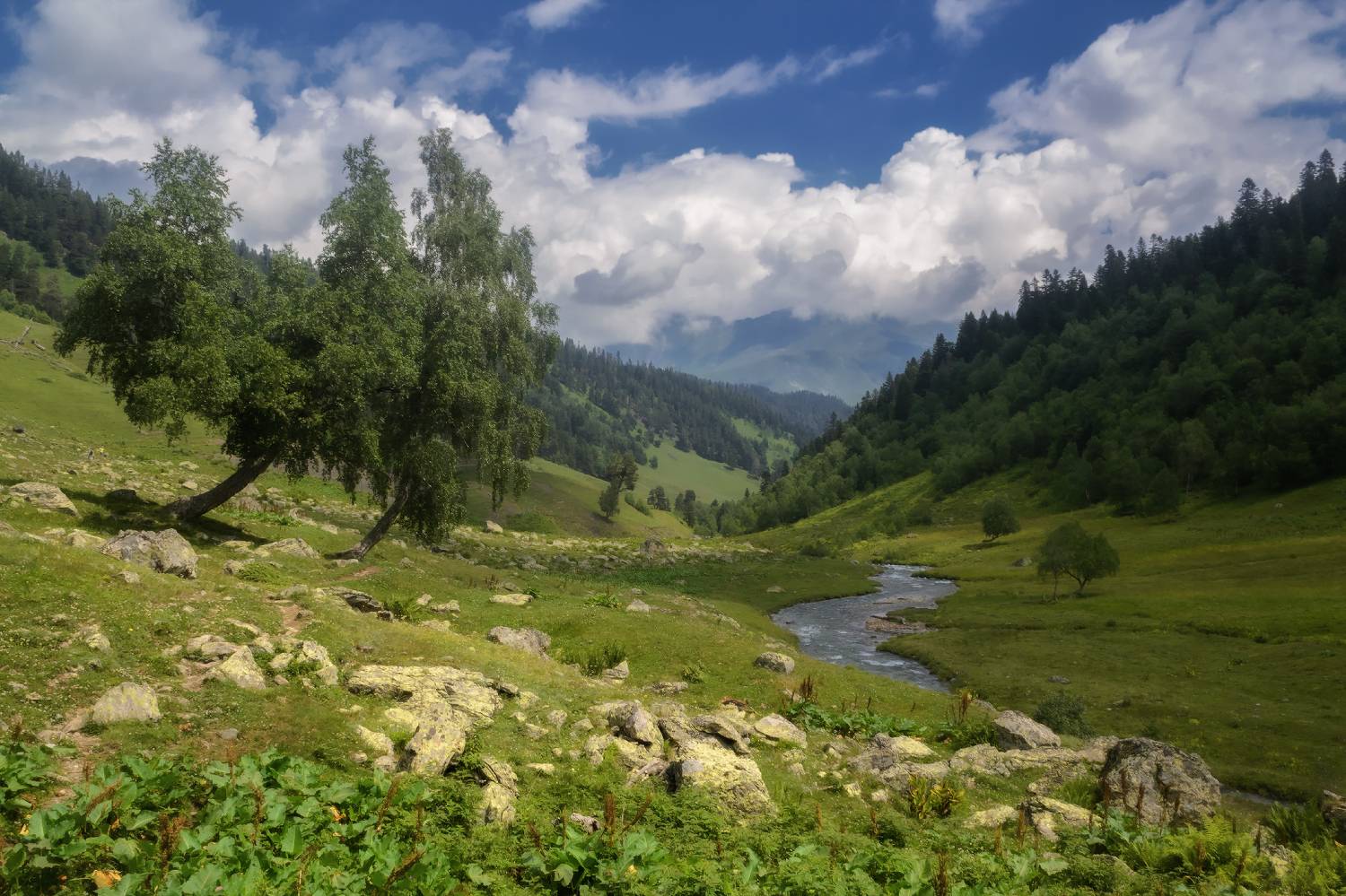 , Лысенко Сергей