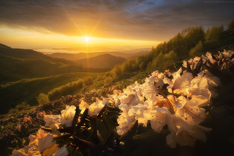 большойтхач, фототур, яковлевфототур, тхач, кавказ, адыгея, поход Большой Тхач фото превью