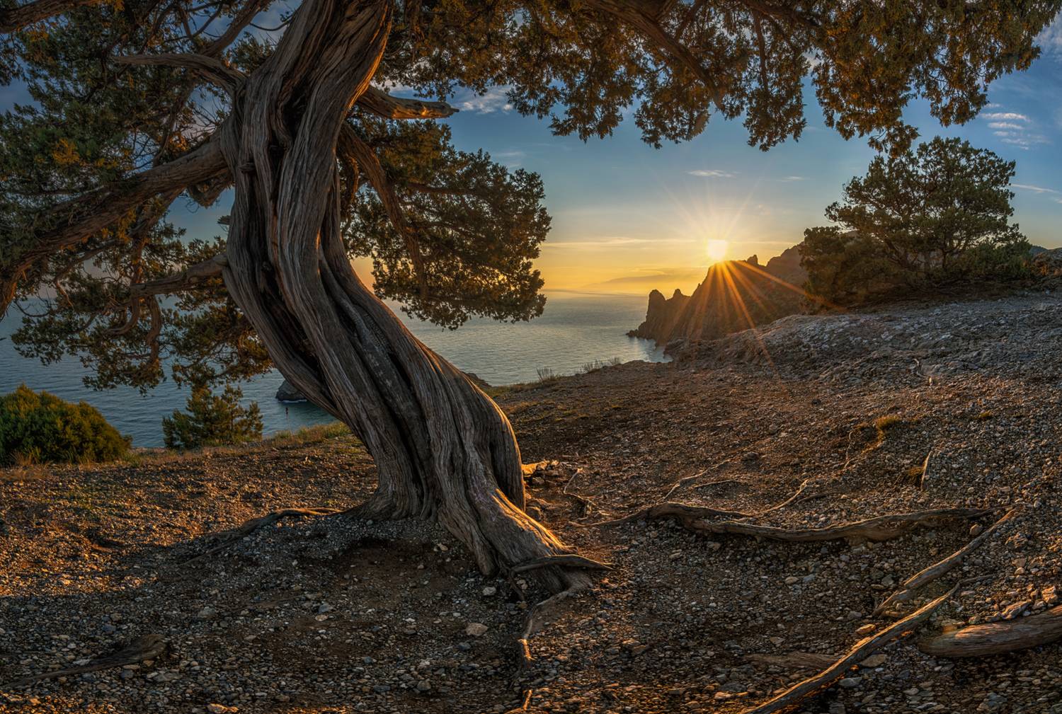 россия, крым, новый свет, коба-кая, караул-оба, закат, Мысливцев Николай