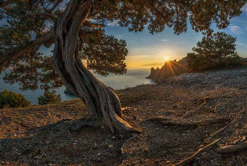 Вечер с видом на закат