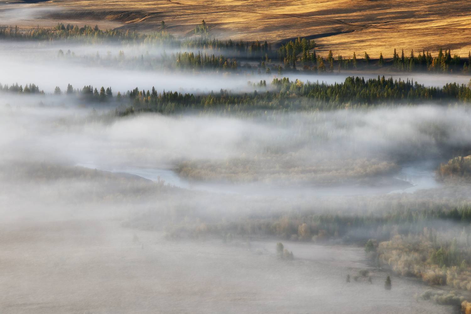 Курайская степь, Чуя, Алтай, Республика Алтай, Галина Хвостенко