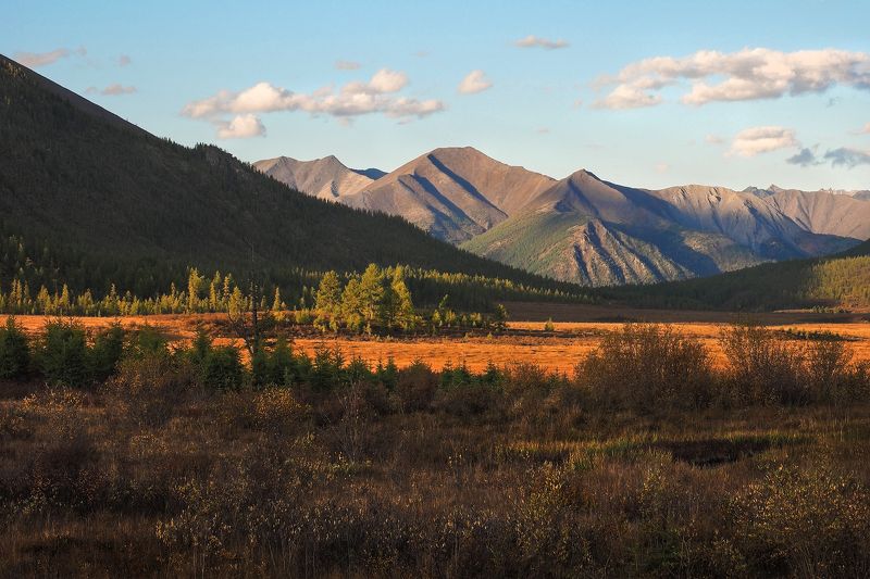 Начало осени фото превью
