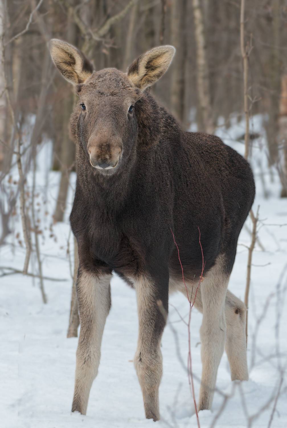 , Фото Александр