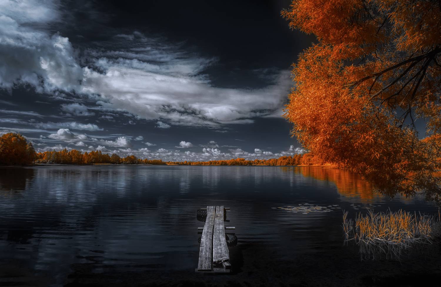 infrared,ик-фото,инфракрасное фото, инфракрасная фотография, пейзаж, лето,  Sixten (Сергей)