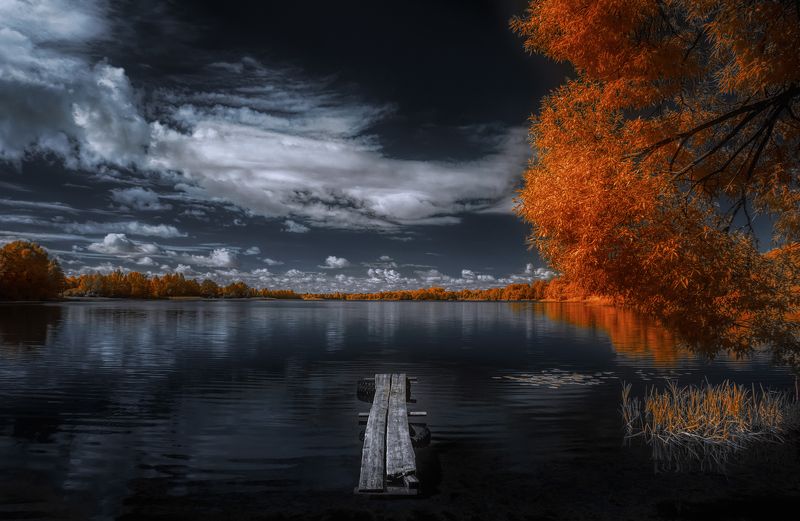 Один шаг фото превью