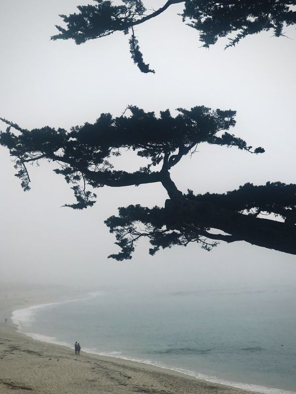 Carmel Beach фото превью