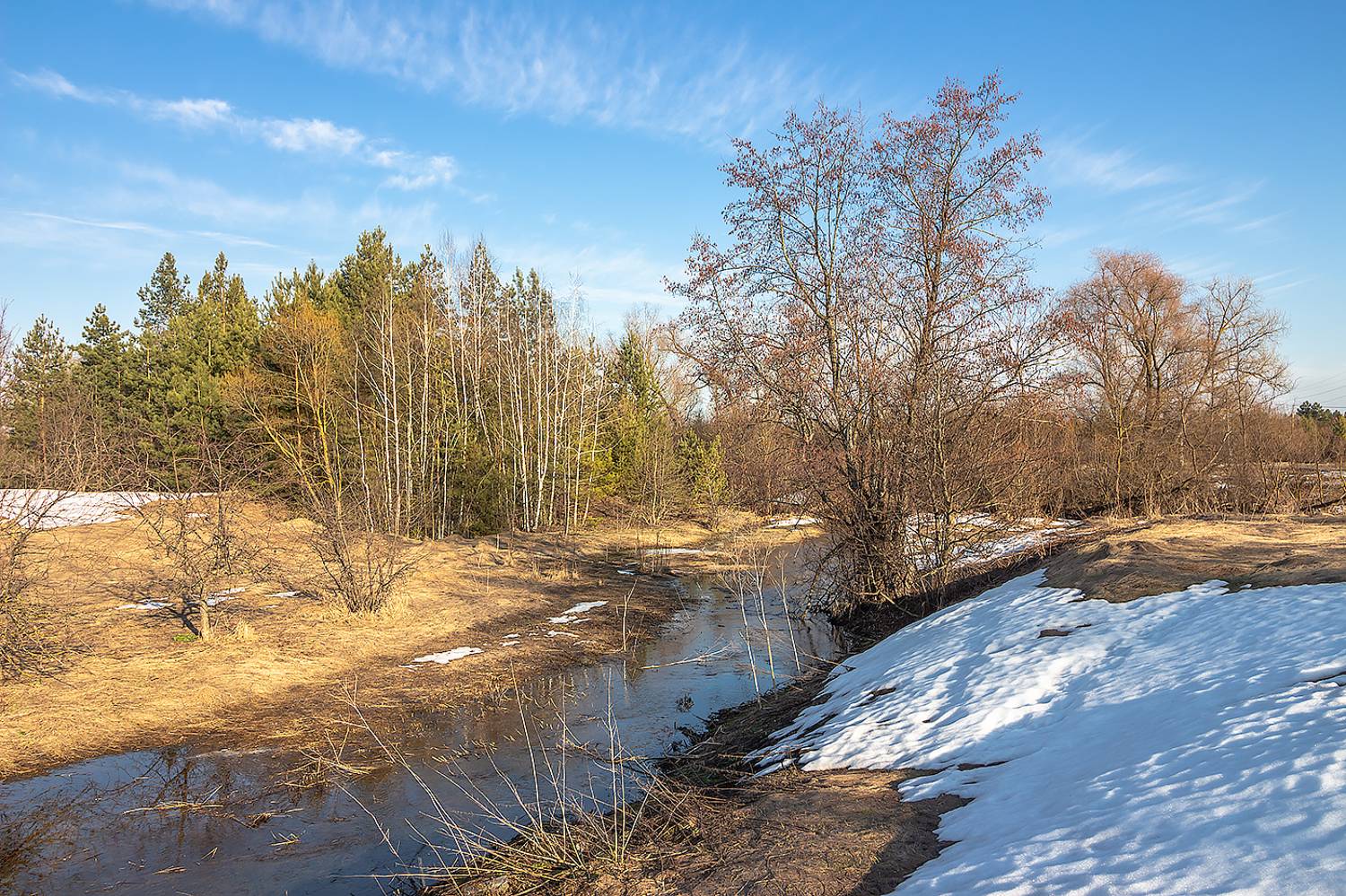 весна, половодье, лес, ручей,, Востриков Руслан