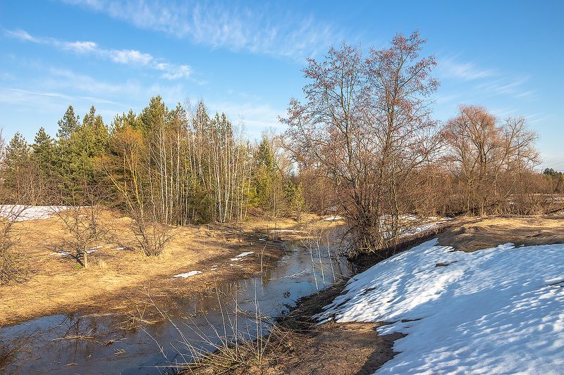 весна, половодье, лес, ручей,  фото превью